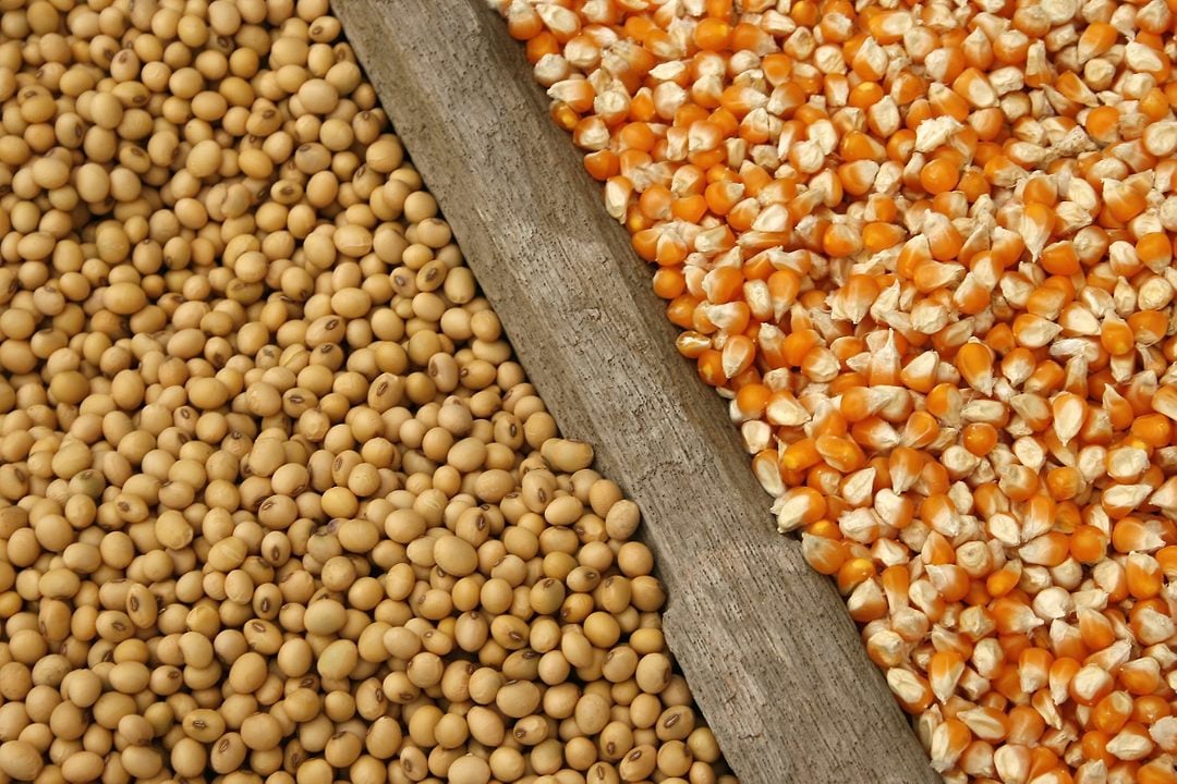 commodities available to broker